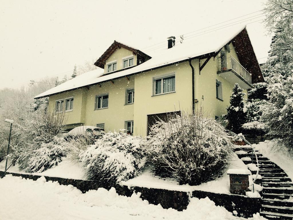 Ferienwohnung Dieterle Wutoschingen 部屋 写真